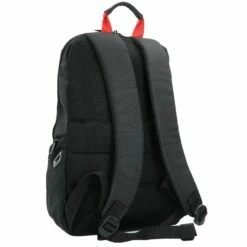 Delsey Mochila Parvis Plus Compartimento Para Portátil De 40 Cm -Maletas Tienda de ventas 1760a0e94396b950717bdf54a5ef2406 3