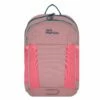 Jack Wolfskin Kids Moab Jam Mochila Para Niños 37 Cm
